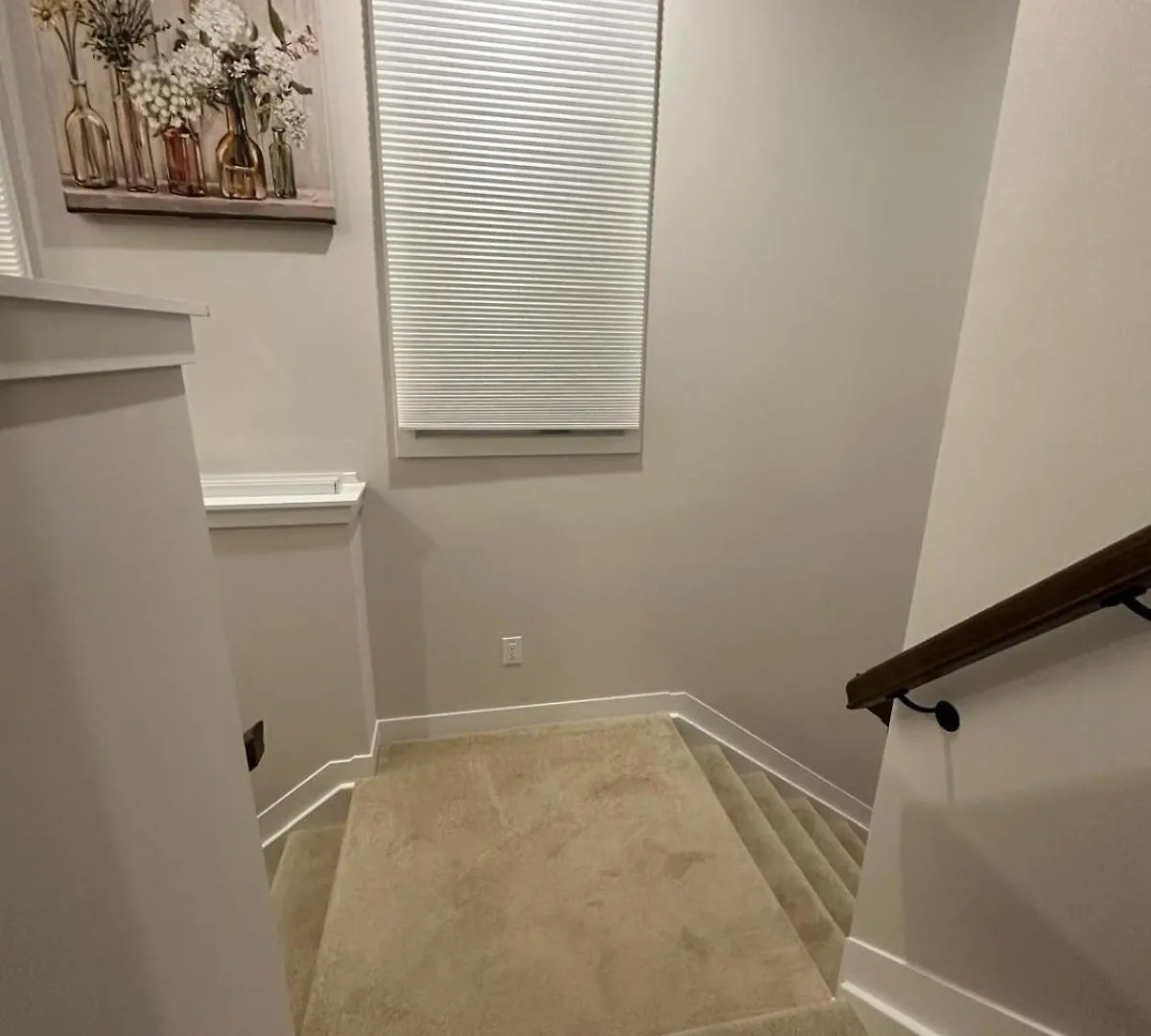 House Of Peace - Includes Wi-Fi, Netflix Apartment Ottawa 0*,